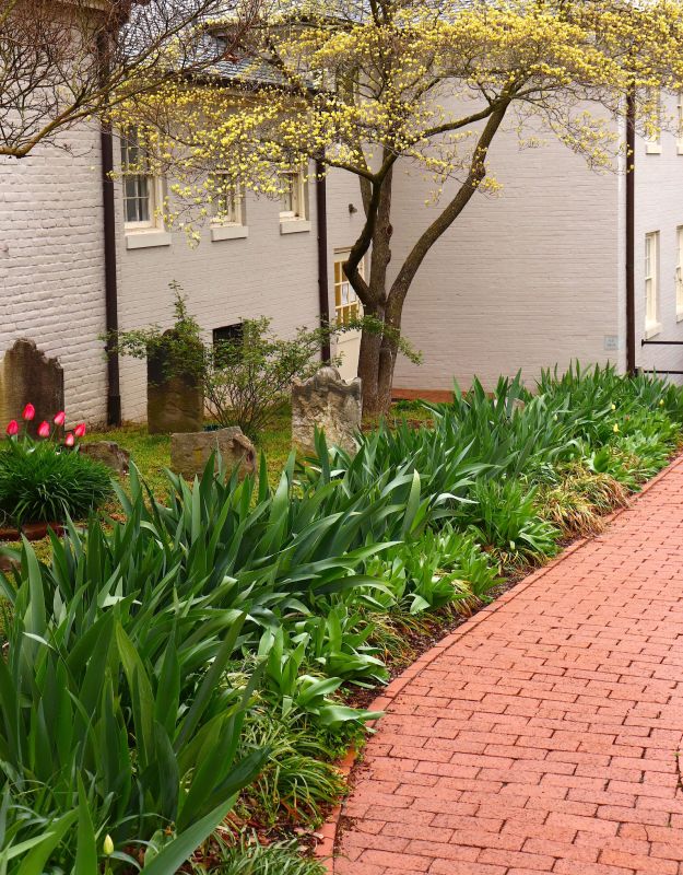 Brick Pathway Repair in Gallatin, TN