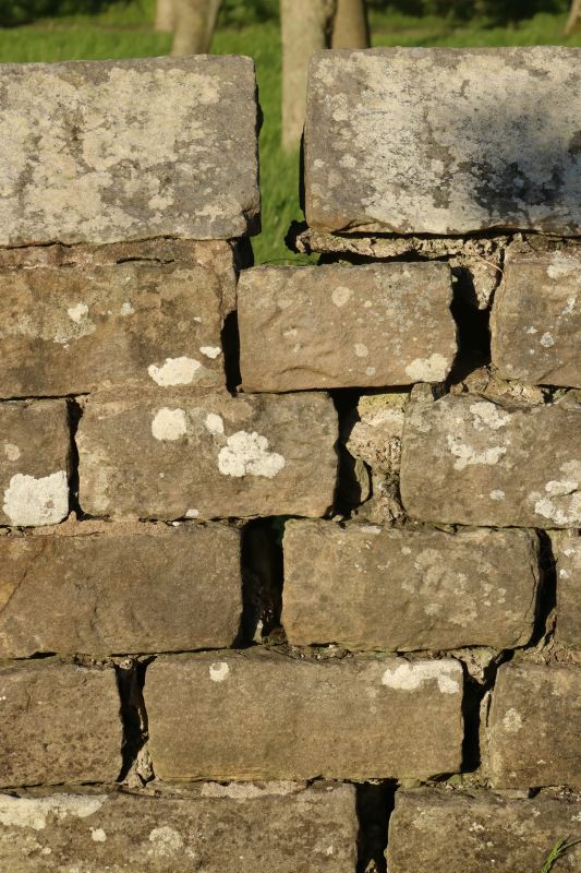 Stone Wall Repair in Franklin, KY